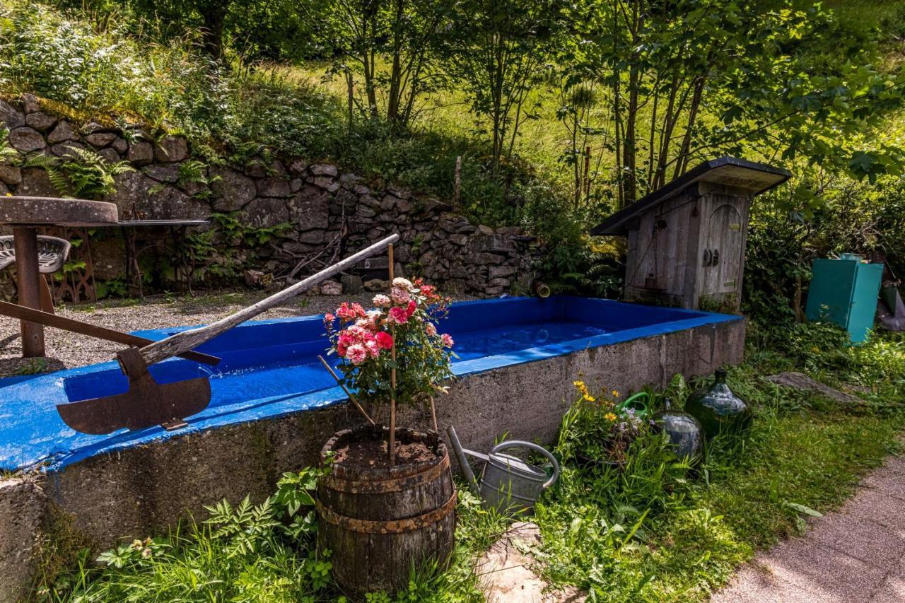 Ferienwohnung Teich 11 Gutenbach Bagian luar foto